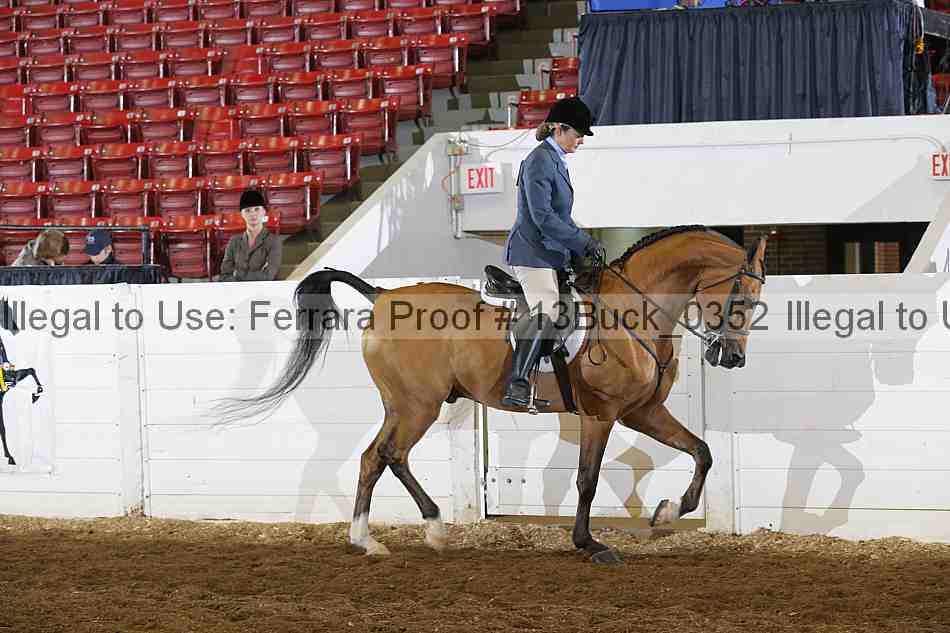 Proof 13buck_0352