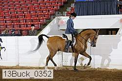 13buck_0352 proof