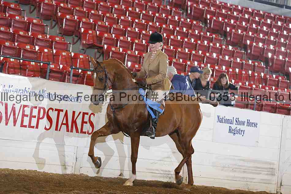 Proof 13buck_0353