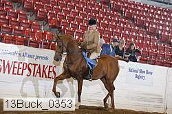 13buck_0353 proof