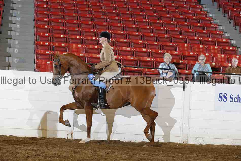 Proof 13buck_0354