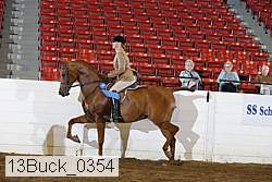 13buck_0354 proof