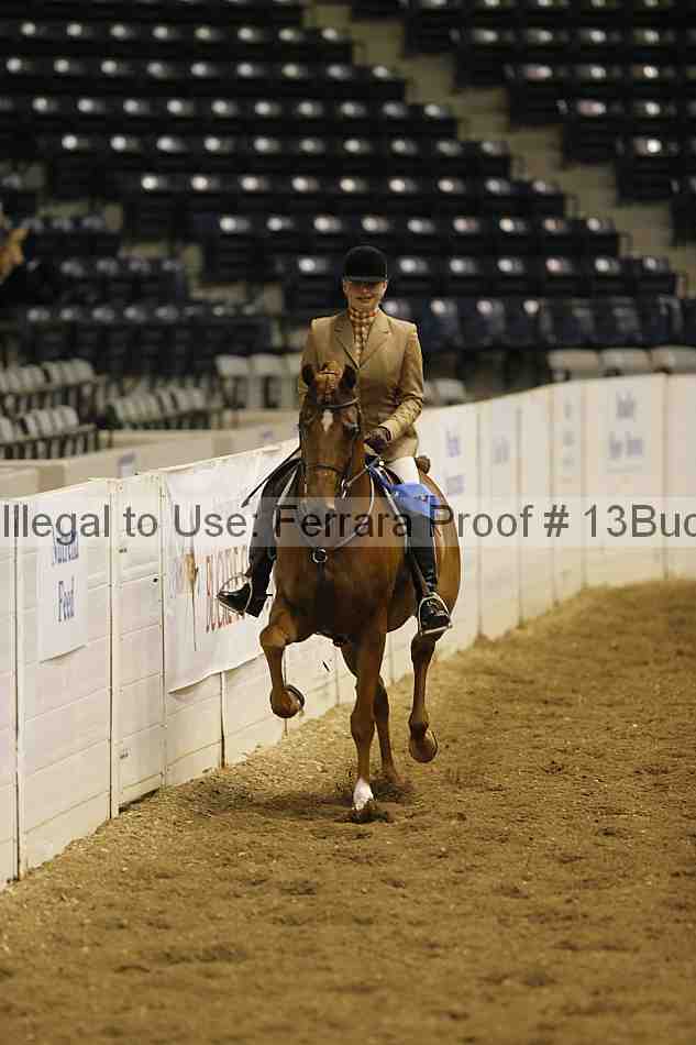 Proof 13buck_0355