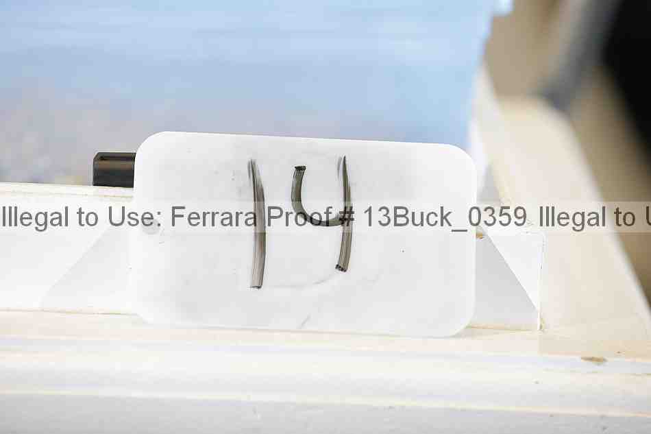 Proof 13buck_0359