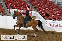 13buck_0360 proof
