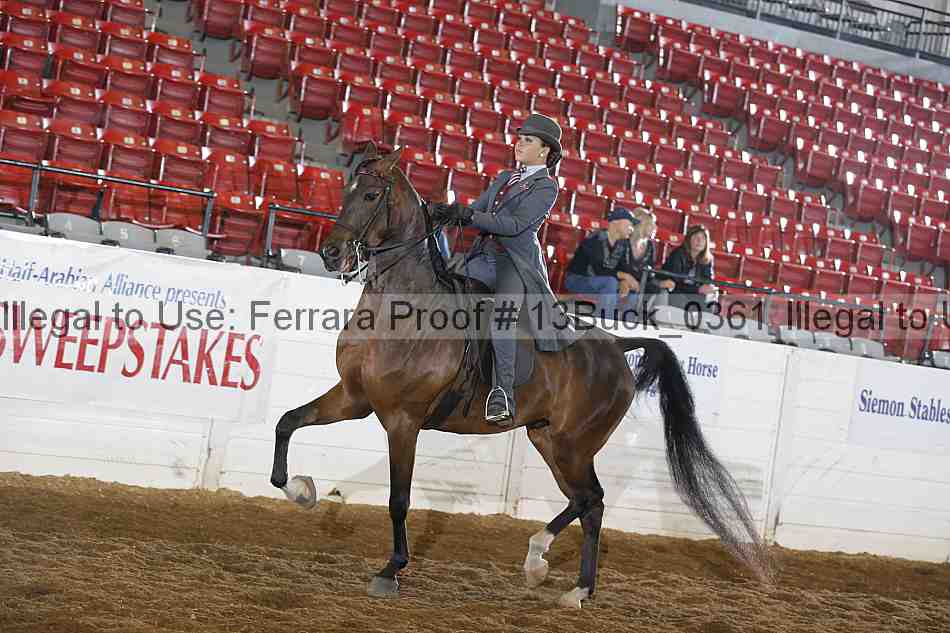Proof 13buck_0361