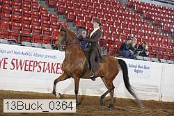 13buck_0364 proof