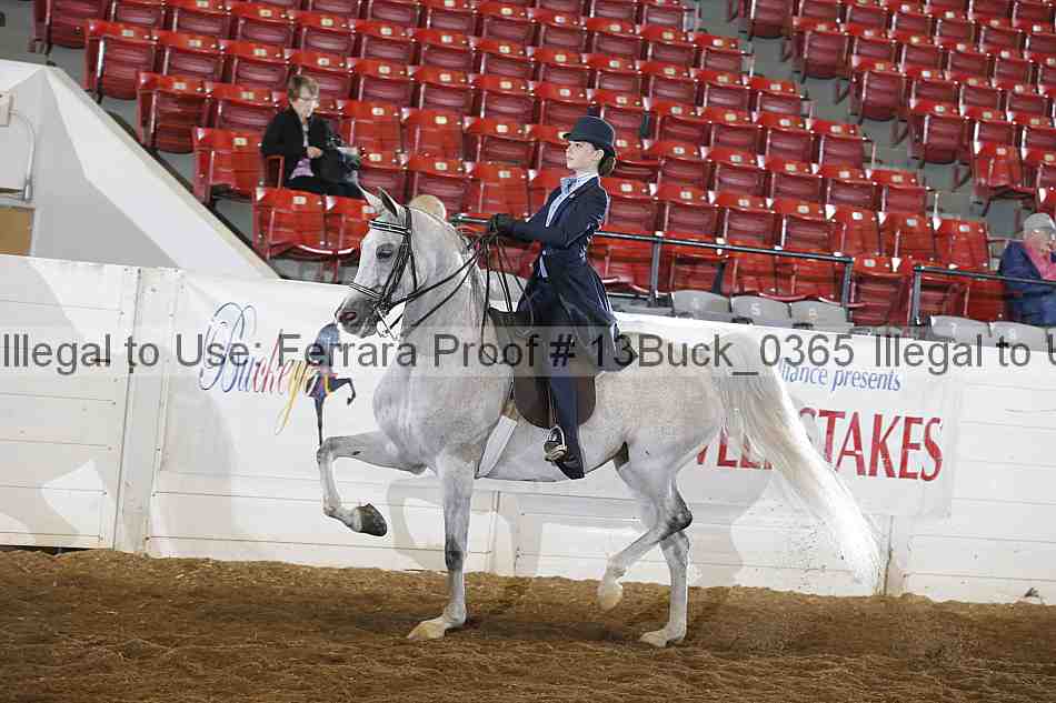 Proof 13buck_0365