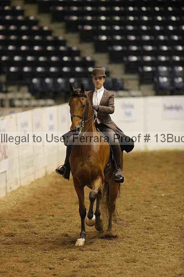 Proof 13buck_0366