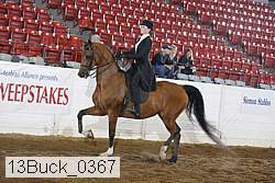 13buck_0367 proof
