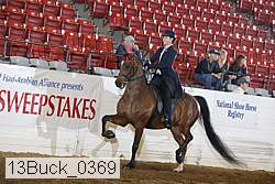 13buck_0369 proof
