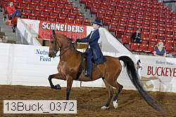 13buck_0372 proof