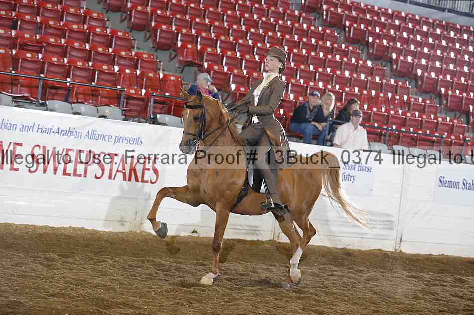 Proof 13buck_0374
