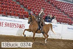 13buck_0374 proof