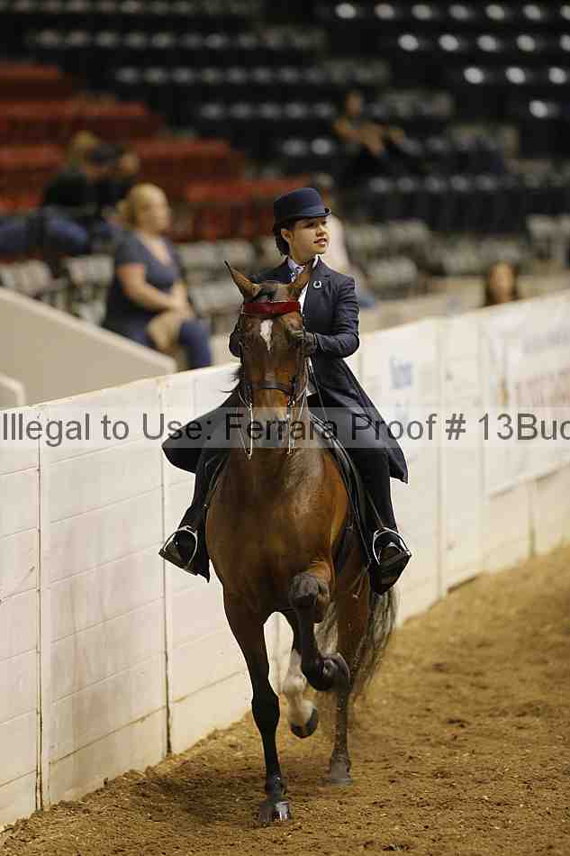 Proof 13buck_0375