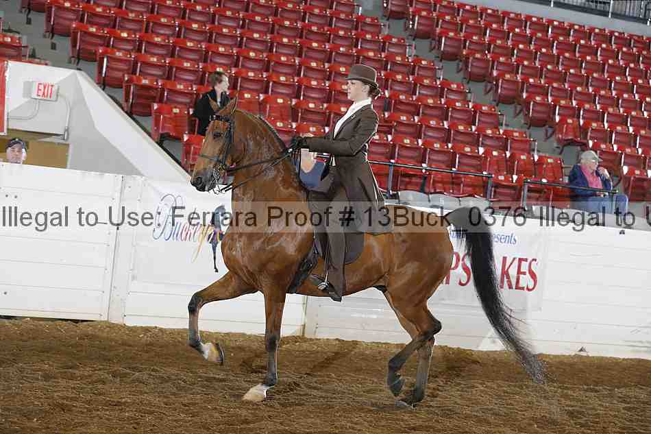 Proof 13buck_0376