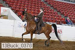 13buck_0376 proof