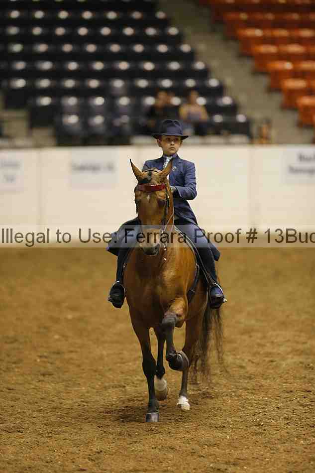 Proof 13buck_0377