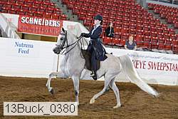 13buck_0380 proof