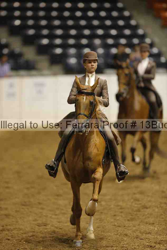 Proof 13buck_0381
