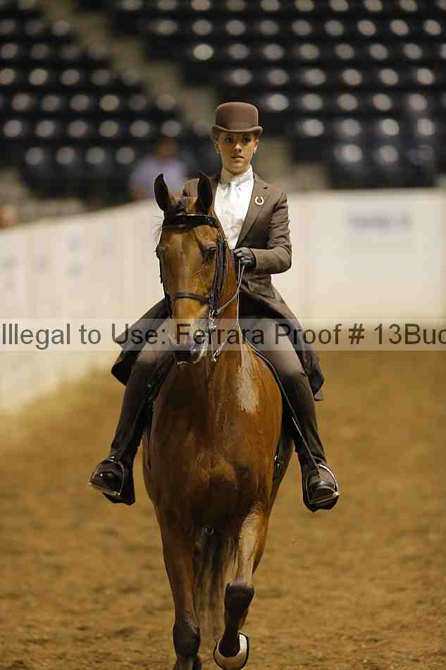 Proof 13buck_0384