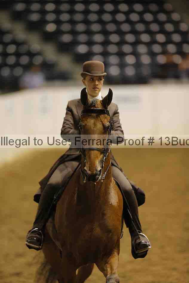 Proof 13buck_0385