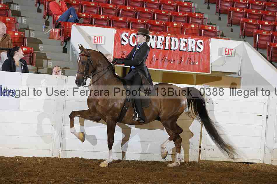 Proof 13buck_0388