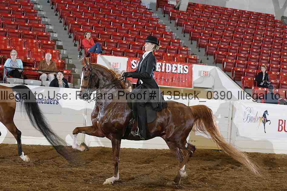 Proof 13buck_0390