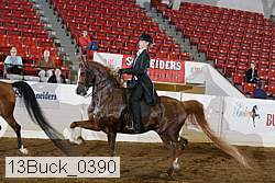 13buck_0390 proof