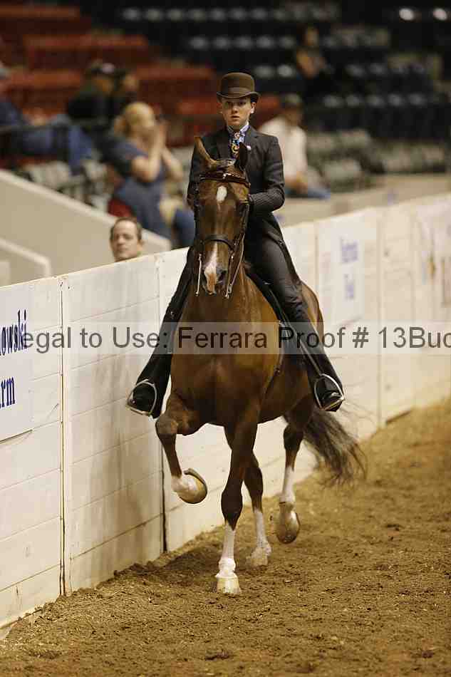Proof 13buck_0392