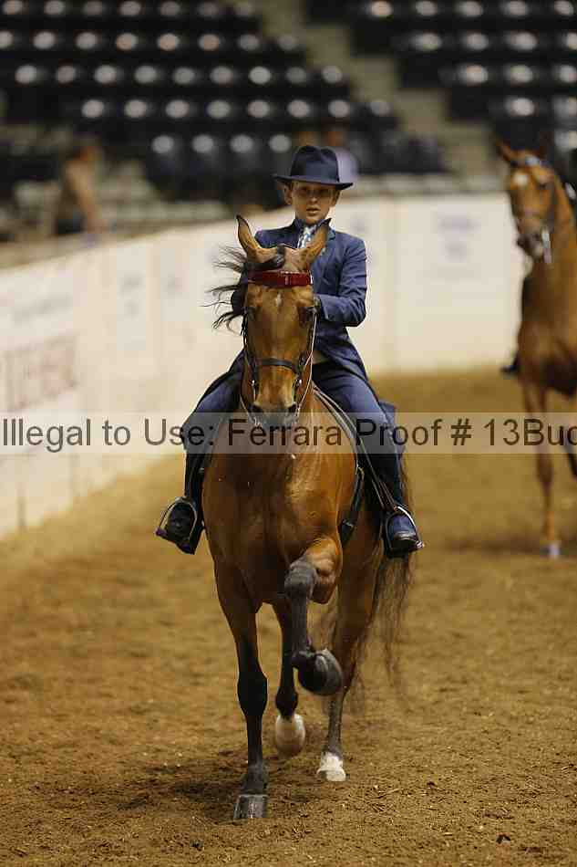 Proof 13buck_0393