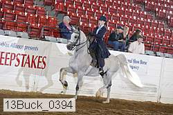 13buck_0394 proof