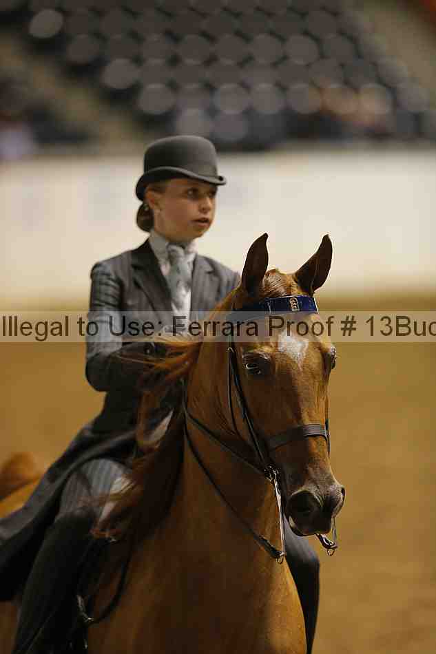 Proof 13buck_0396
