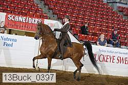 13buck_0397 proof