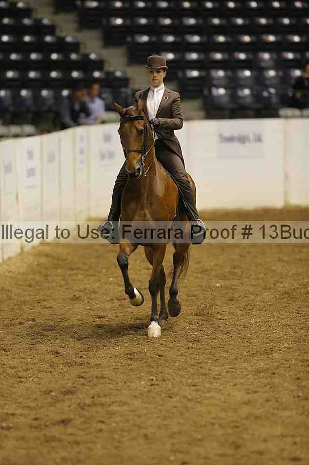 Proof 13buck_0398