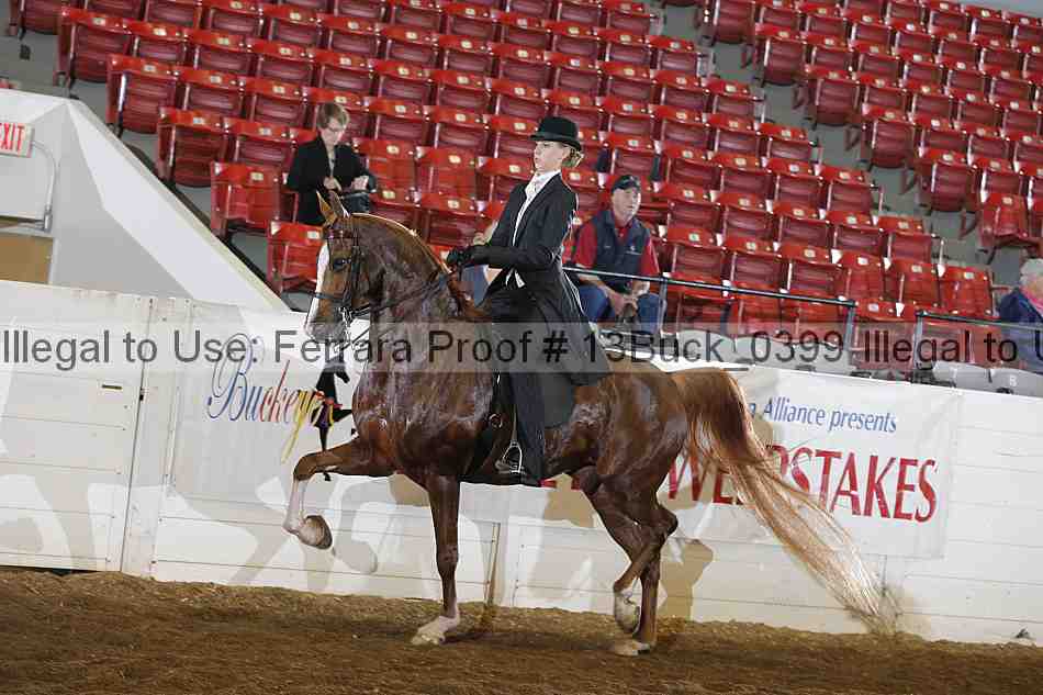 Proof 13buck_0399