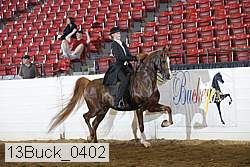 13buck_0402 proof