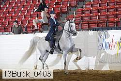 13buck_0403 proof