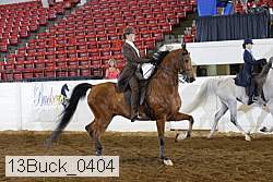 13buck_0404 proof