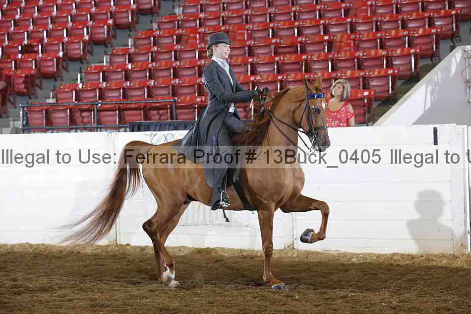 Proof 13buck_0405