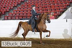 13buck_0405 proof