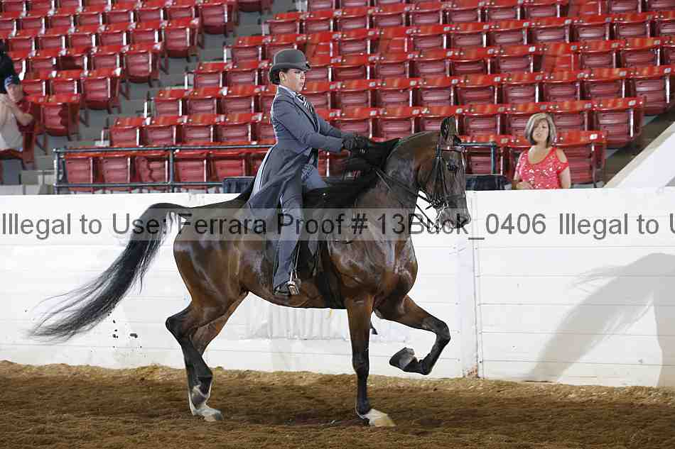 Proof 13buck_0406