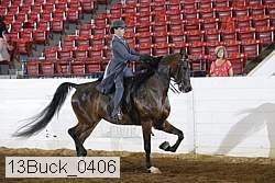 13buck_0406 proof