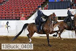 13buck_0408 proof