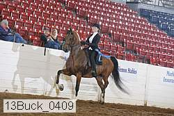 13buck_0409 proof