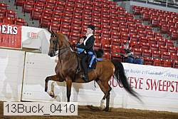 13buck_0410 proof