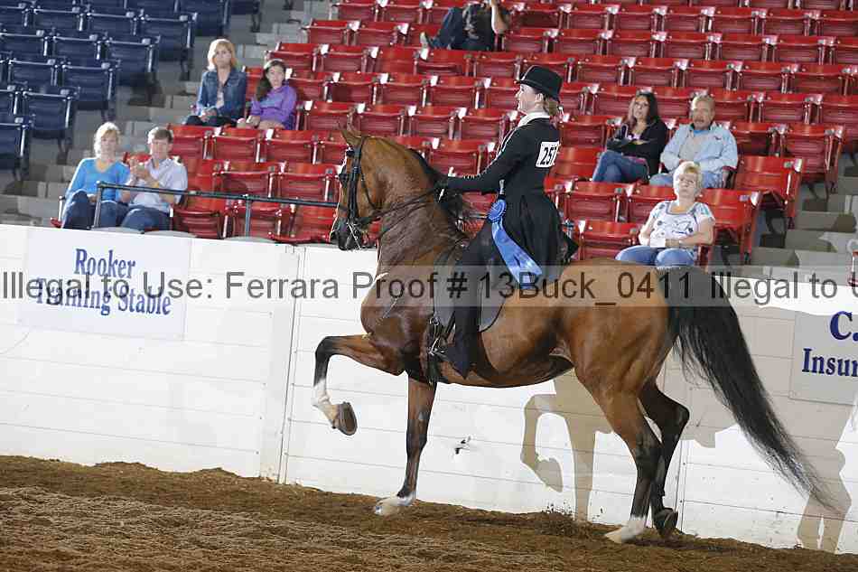Proof 13buck_0411