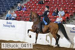 13buck_0411 proof