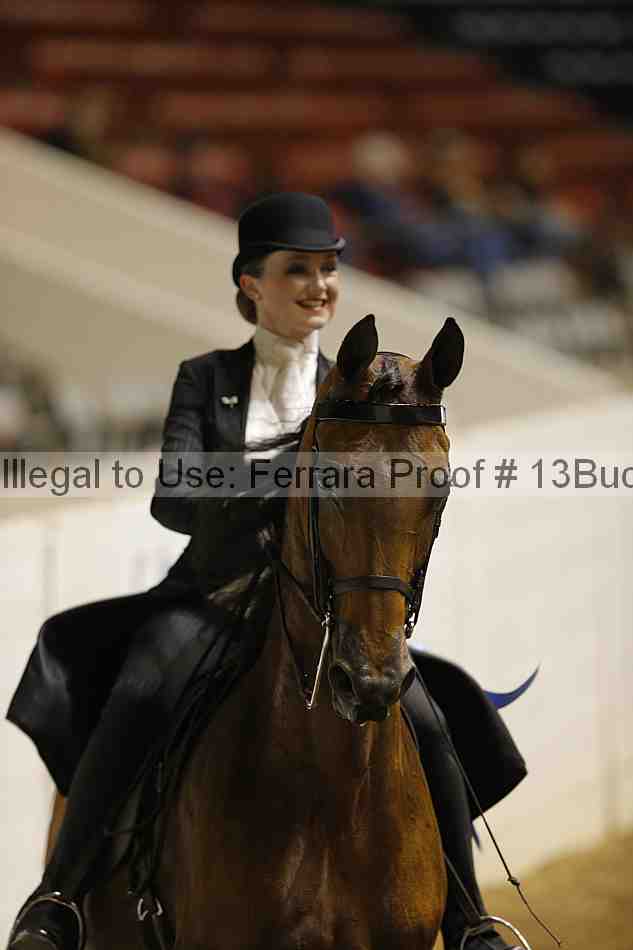 Proof 13buck_0416