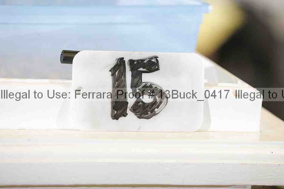 Proof 13buck_0417